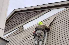 Best Custom Siding Design  in Rangely, CO